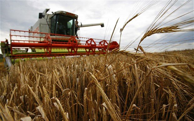 Sistema de planificación para el sector agrícola. [Guía de Productos]